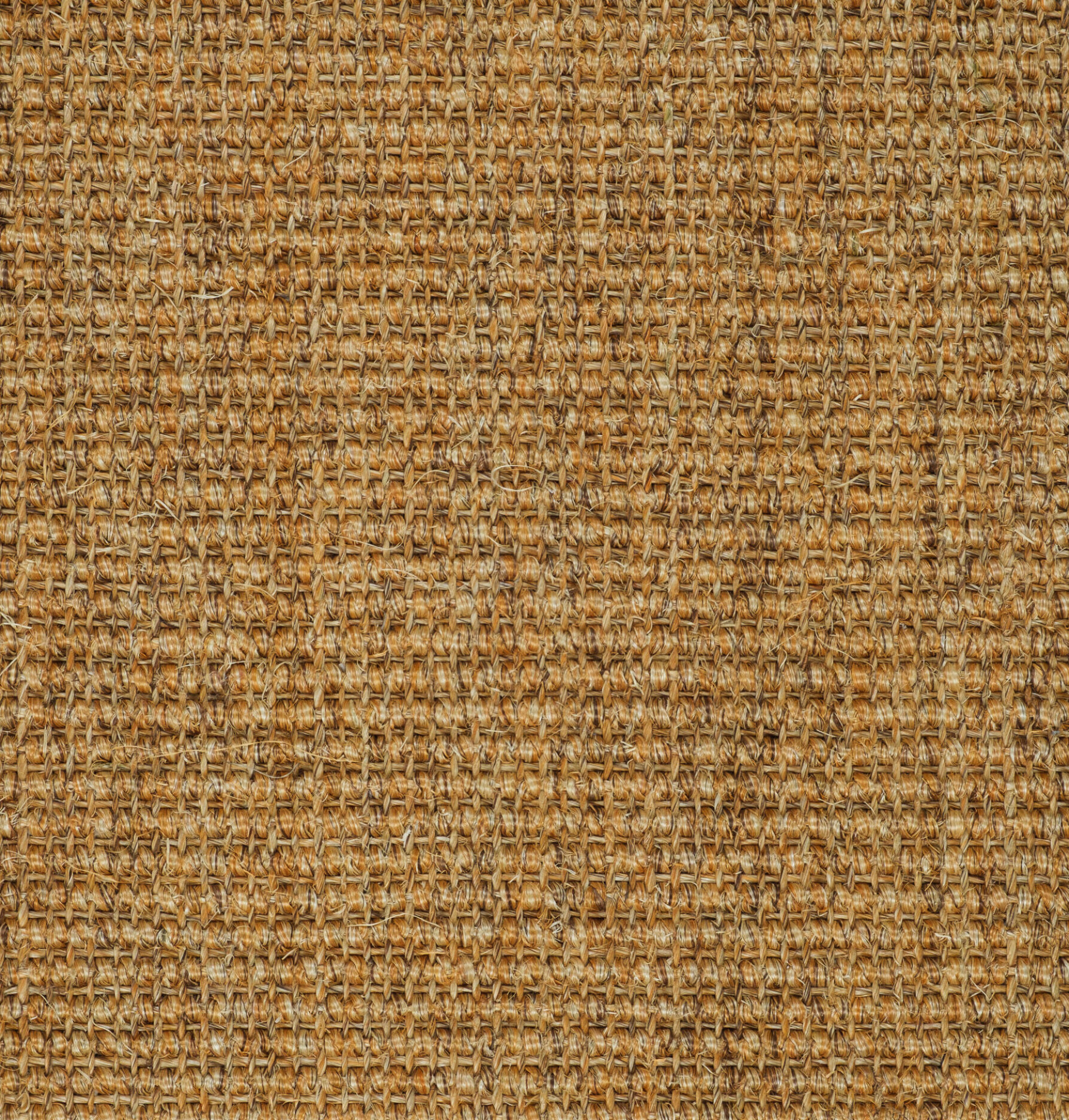 T9421-080 | Jabo Carpets